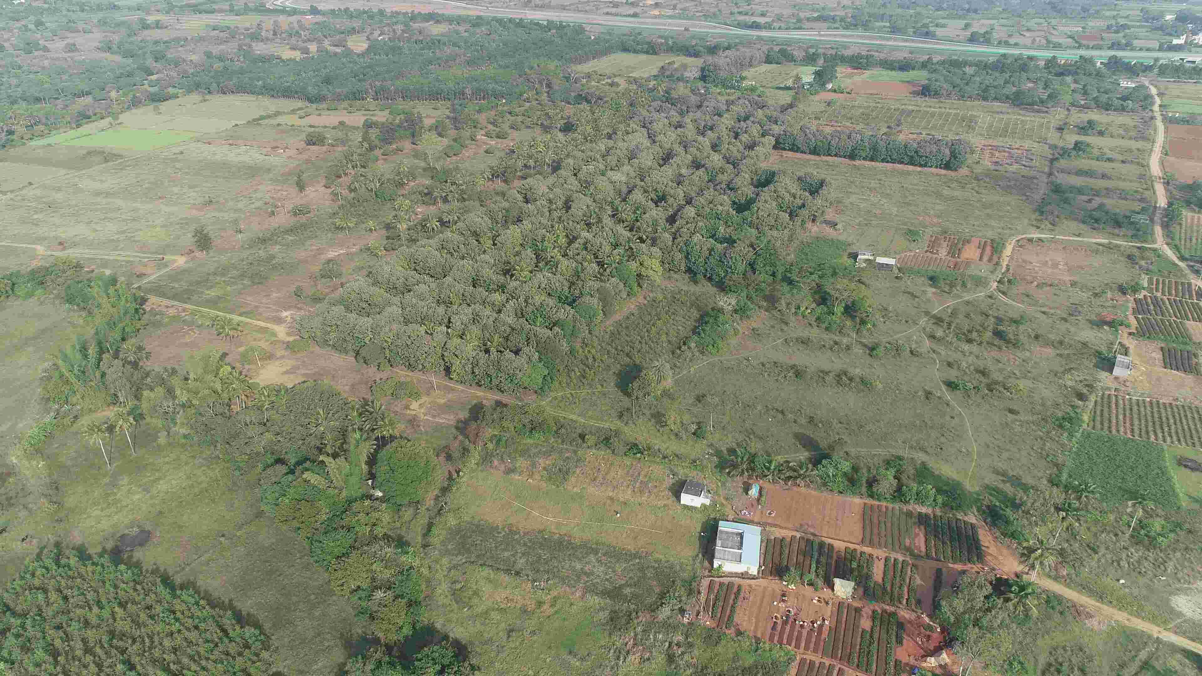 organic farmland near bangalore 2